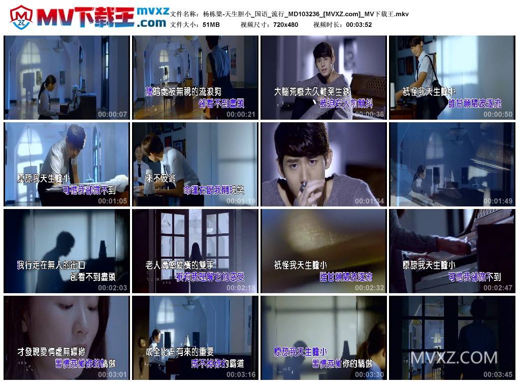 杨栋梁-天生胆小_国语_流行_MD103236